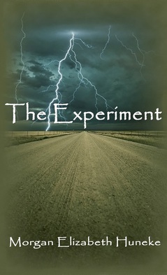 The Experiment