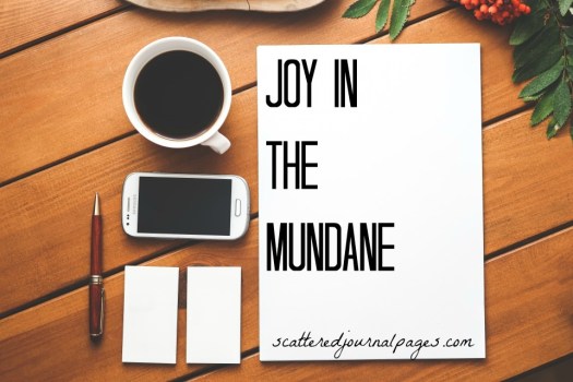 Joy in the Mundane