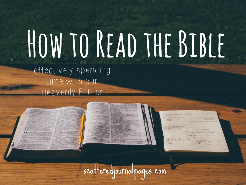 Read When Scripture How to Read the Bible {effectively spending time with our Heavenly ...