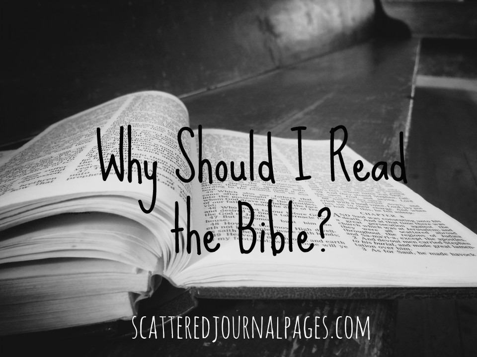 Why Should I Read the Bible?
